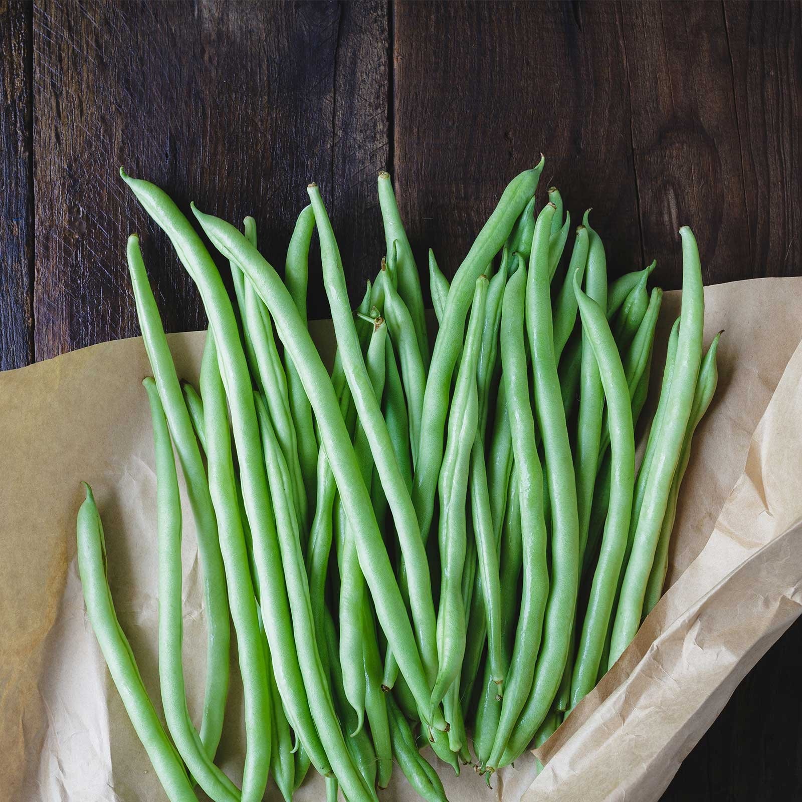Blue Lake Bush Bean 274 Seeds – 1 Lbs – Non-GMO, Heirloom, Open Pollinated – …
