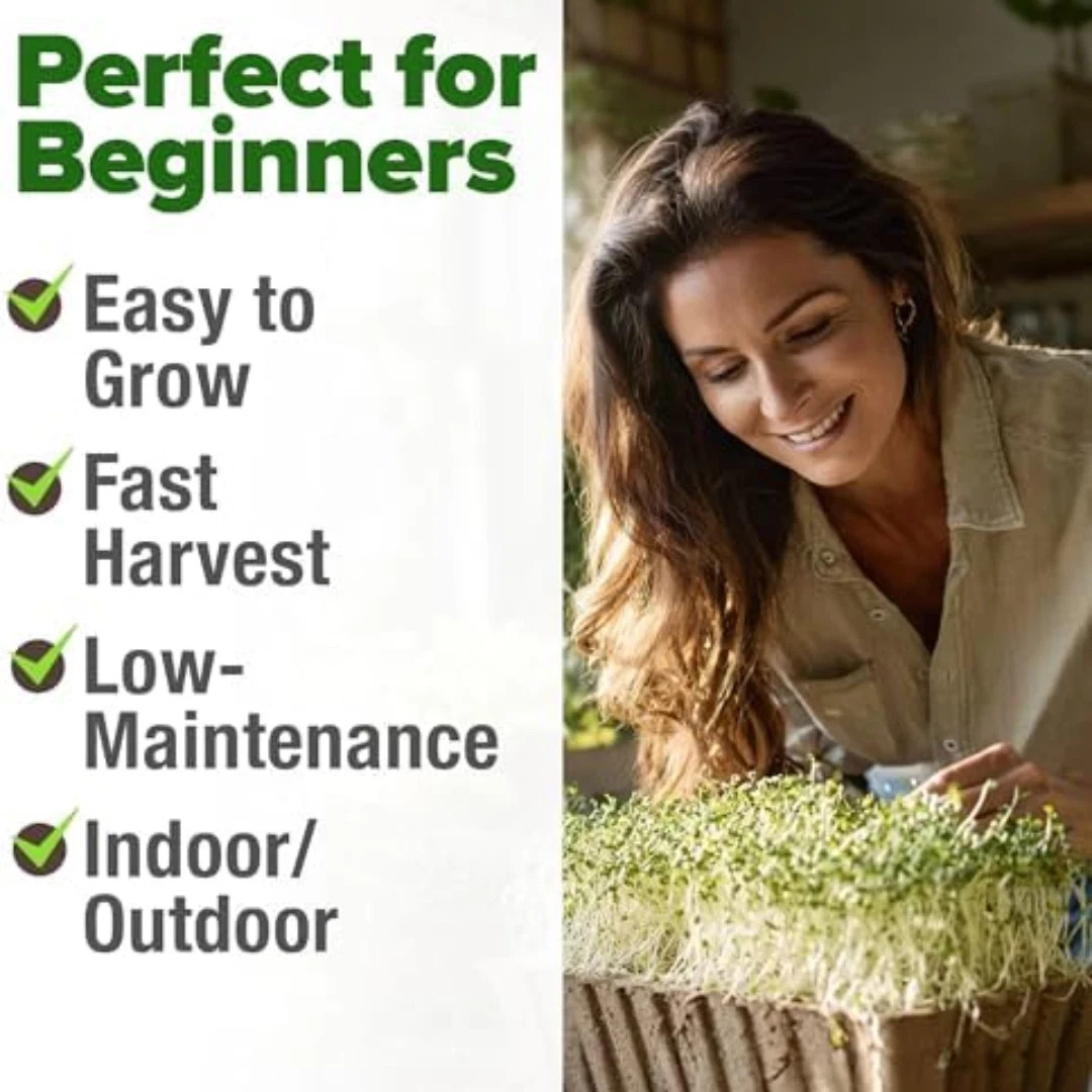 Broccoli Sprouting & Microgreens Seeds – 99,700 Non-GMO Heirloom