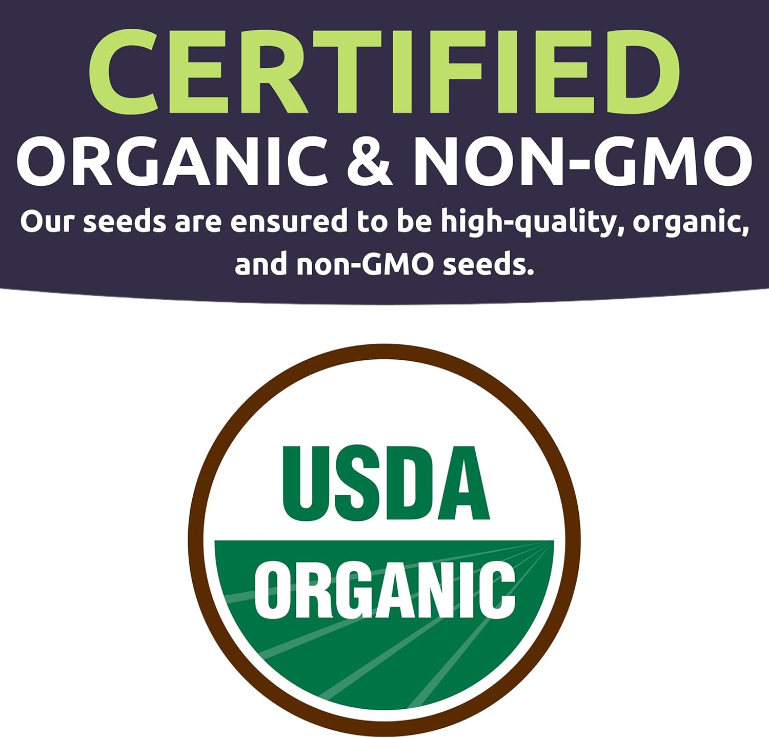 Organic Container Garden Seeds Variety Pack – 10 Individual Packs – 2026 Season