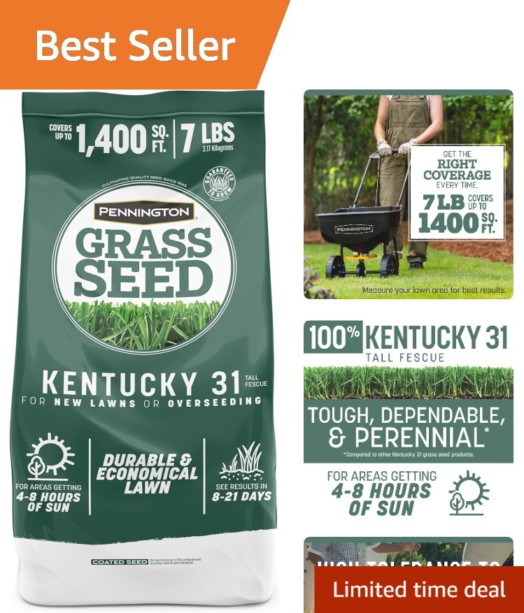 7 LB Tall Fescue Grass Seed – Kentucky 31 for Low-Maintenance Beautiful Lawns