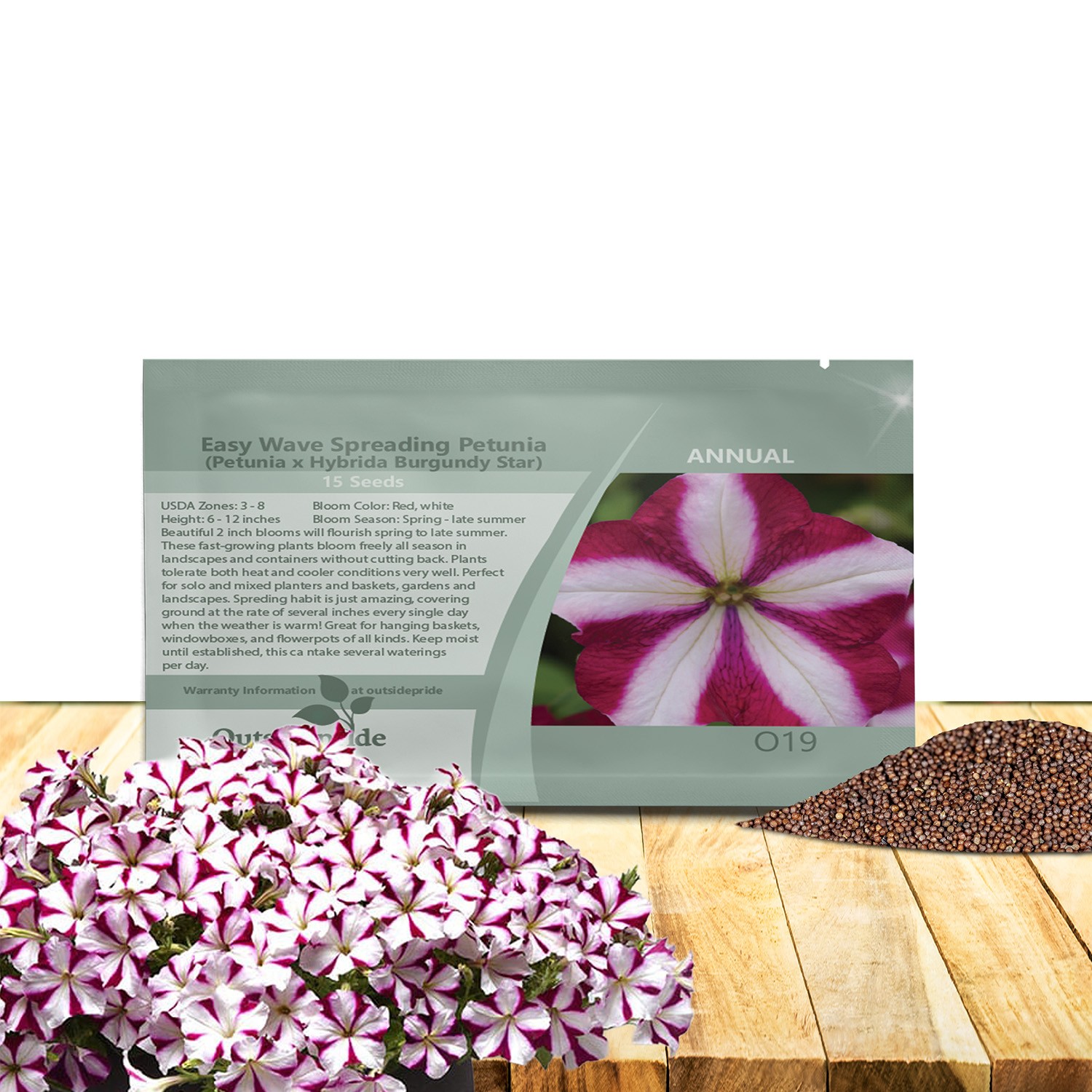30 Seeds Easy Wave Spreading Petunia x Hybrida Burgundy Star Flower Seeds