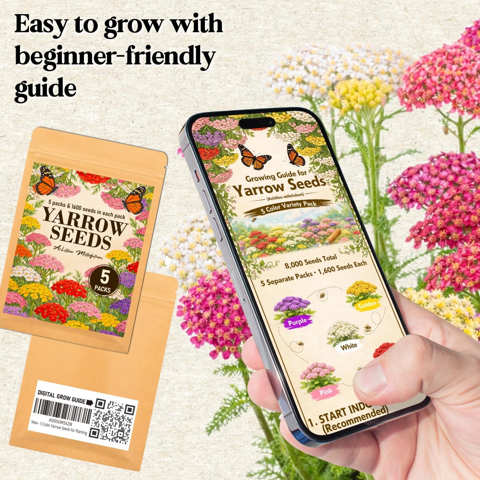 8000+ Yarrow Seeds for Planting 5 Packs Colors Mixed, Achillea Millefolium P…
