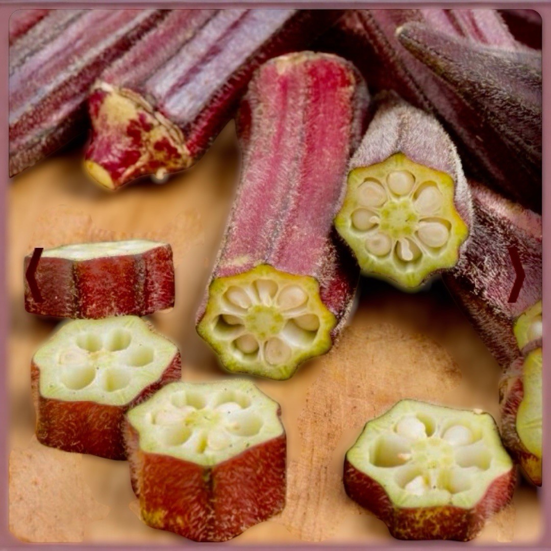 75+Red Burgundy Okra Seeds Abelmoschus esculentus Non GMO Organic okra 5 Grams