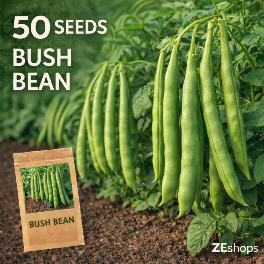 50 Bush Bean Seeds – Compact Green Bean Plants for Home Gardens