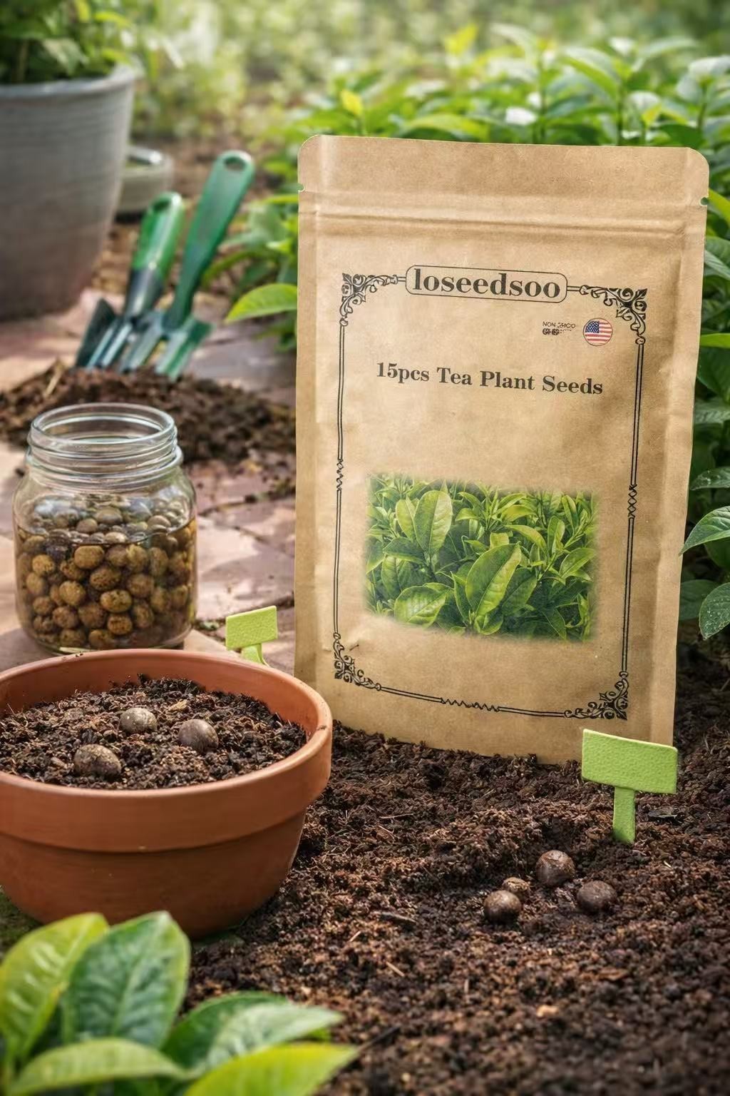 15 Tea Plant Seeds (Camellia Sinensis) – green Tea Tree Seeds for Planting