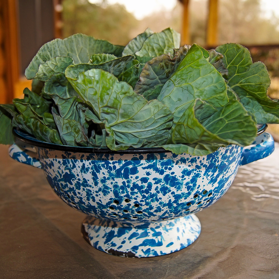 Fresh Collard Geens Seeds | Georgia Southern | Heirloom & Non-GMO | Vegetable
