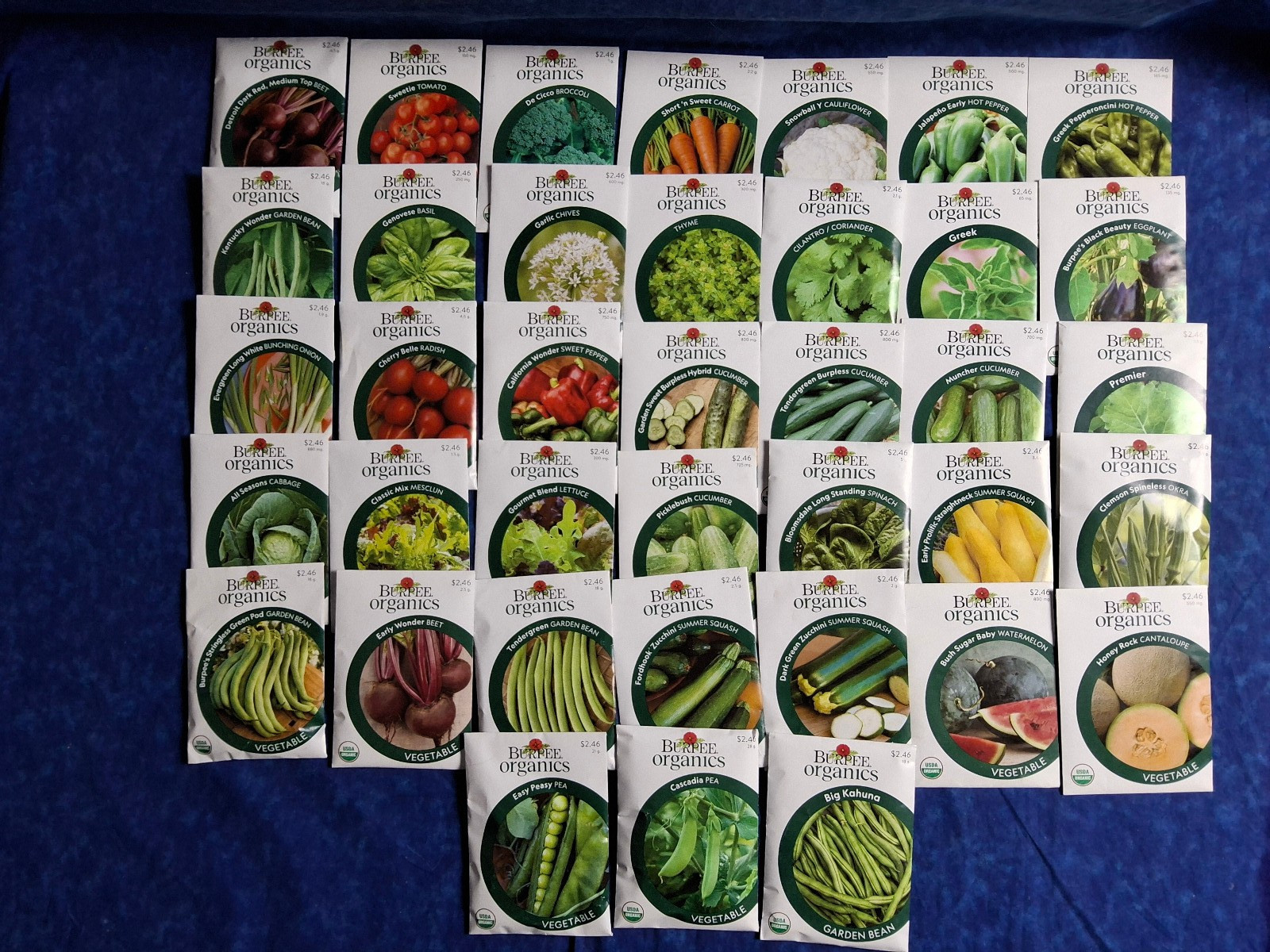 Mixed Lot of 38 Burpee Veg Herb Fruite Organic Seeds 2025 – LOT SH