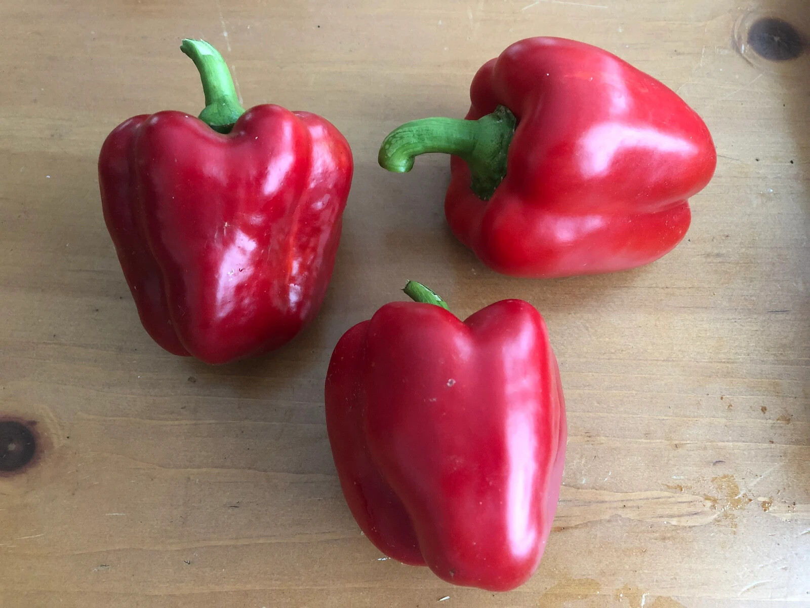 Sweet Red Bell Pepper Heirloom appx 50 seeds Non-GMO Free Ship No Tracking Read