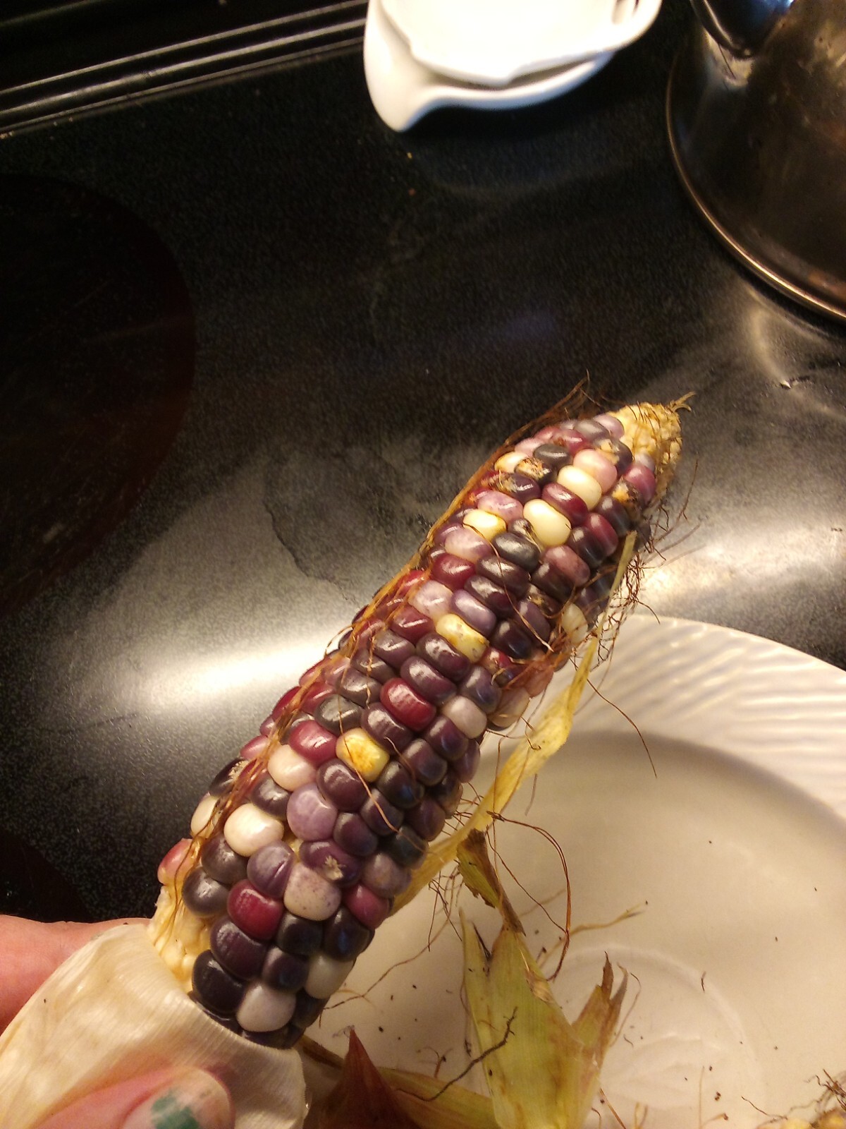 Marbled Glass Gem Corn Heirloom Seeds