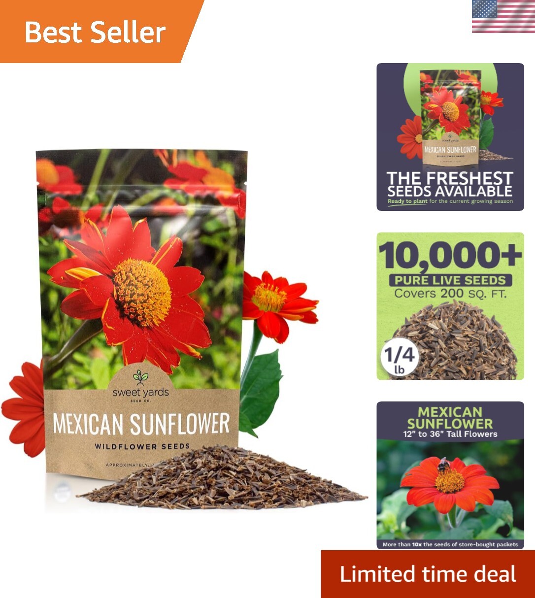 Bulk Quarter Pound Bag of Mexican Sunflower Seeds – 10,000+ Non-GMO Wildflowe…
