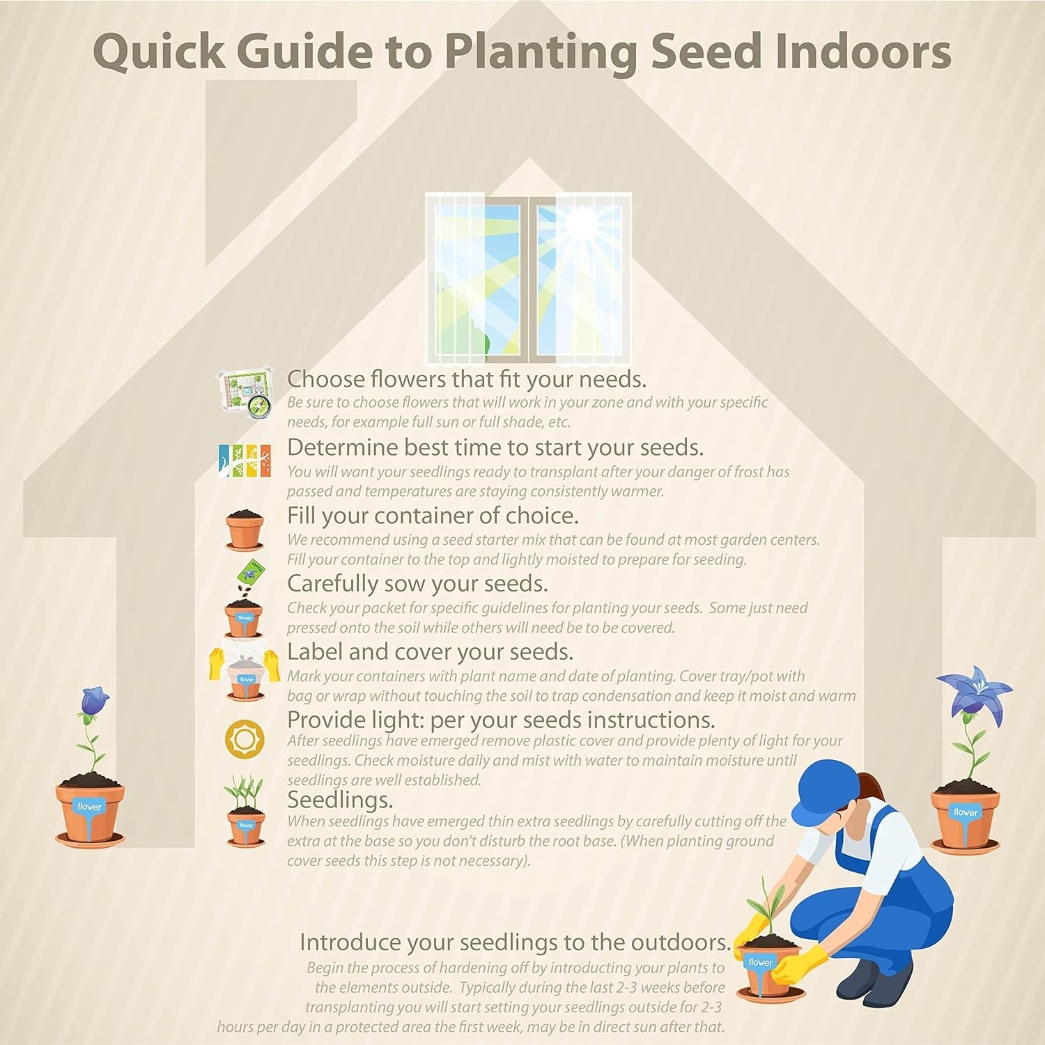 Pampas Mixed Seeds – 1,000 Count for Tall Privacy and Low-Maintenance Gardens