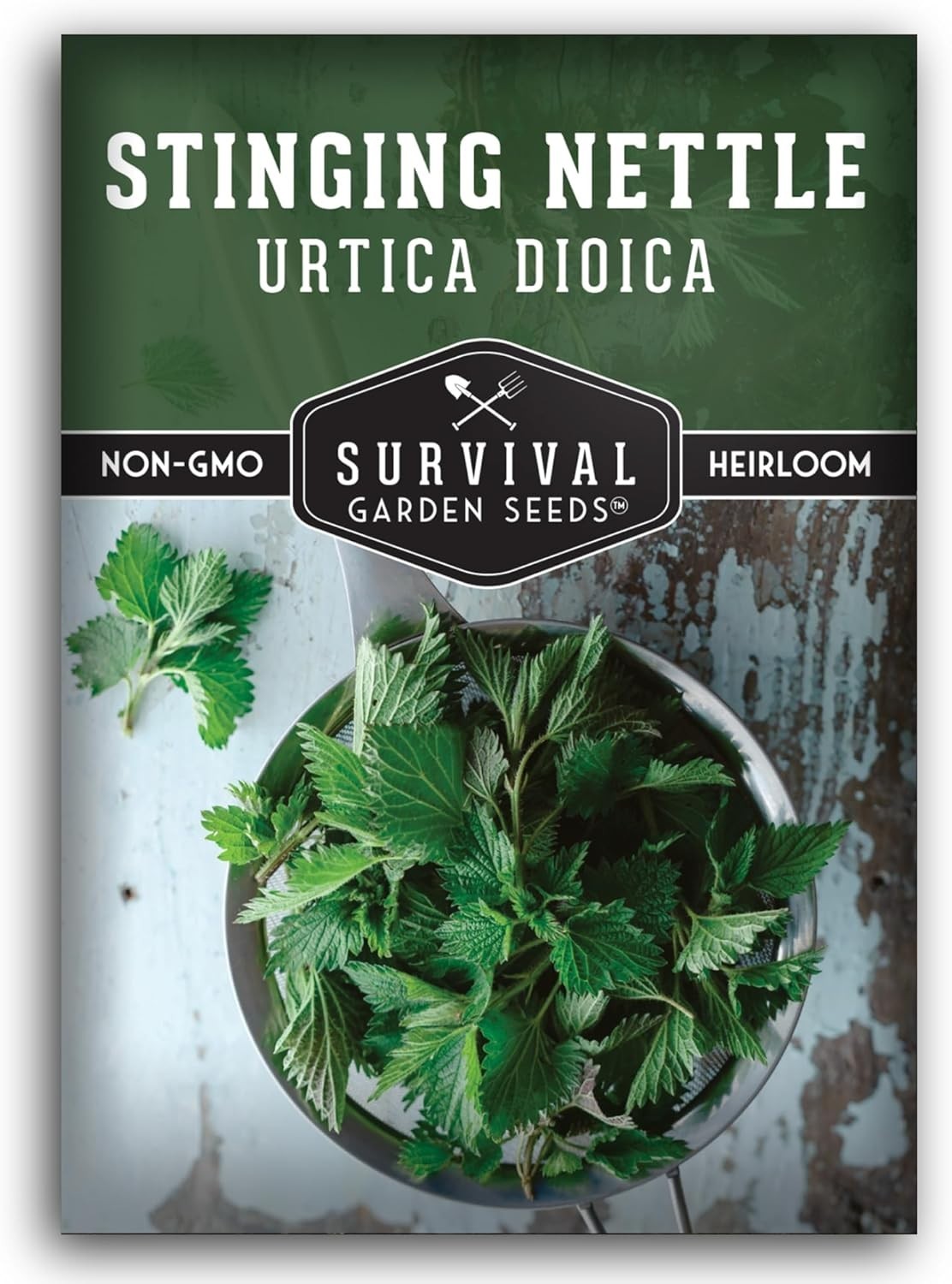 Edible Stinging Nettle Seeds for Herbal Tea – High Germination & Shade Resistant