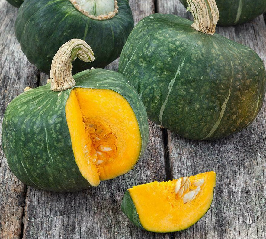 Buttercup Squash Seeds |Green Pumpkin Asian Japanese Kabocha Vegetable Seed 2024