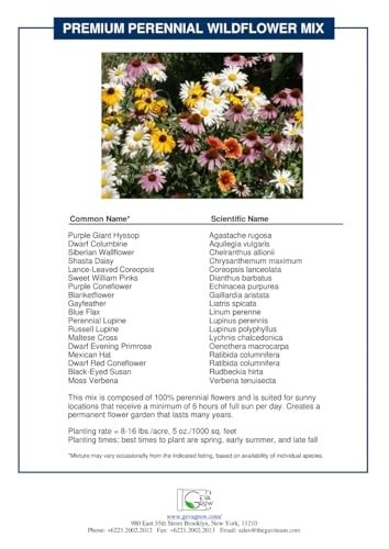 Bulk Wildflower Seed Shaker – 900,000+ Perennial Flower Seeds Mix, 1 lb Tub
