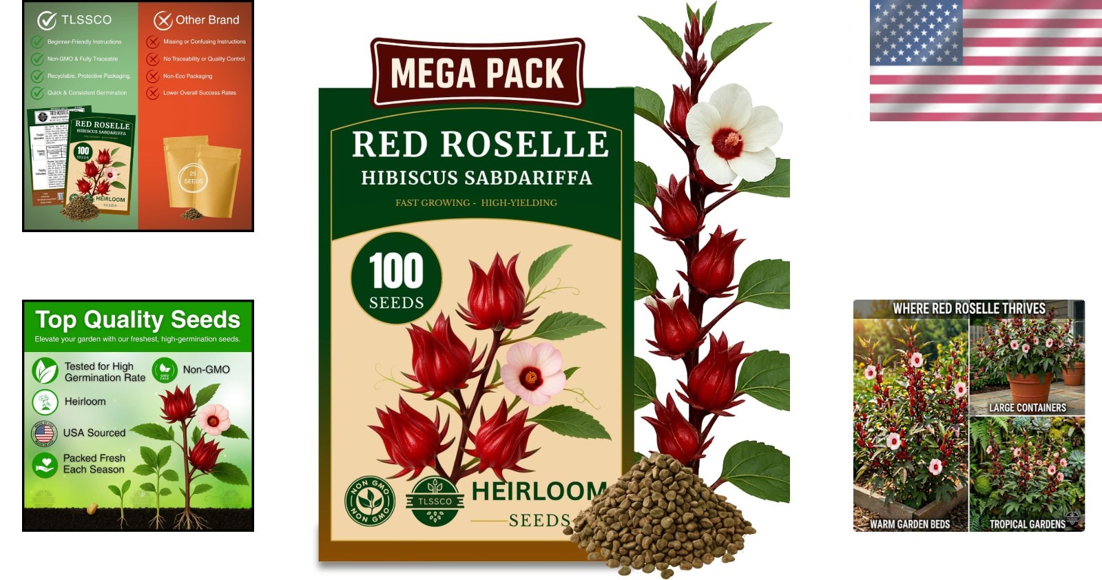 100+ Non-GMO Red Roselle Seeds for Fast-Growing Hibiscus Flowers