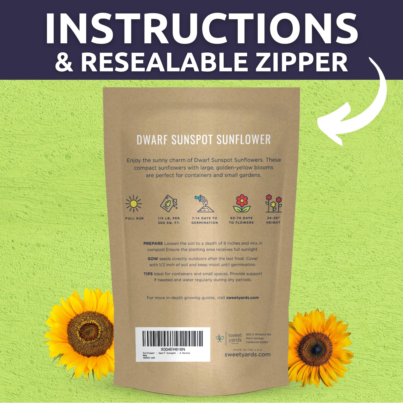 Bulk Dwarf Sunspot Sunflower Seeds 2,000 Flower Seeds for Planting