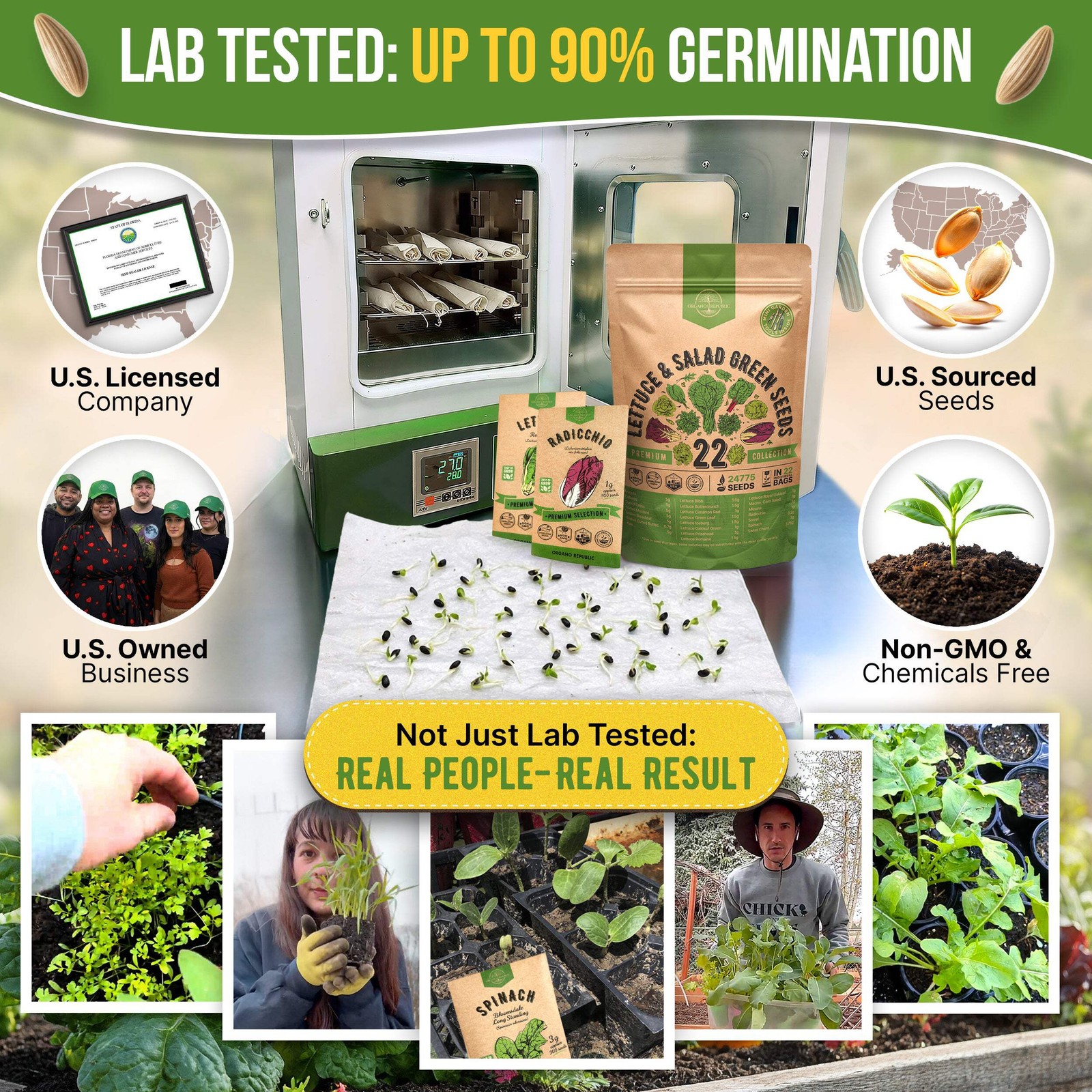 22 Lettuce & Salad Greens Seeds Variety Pack