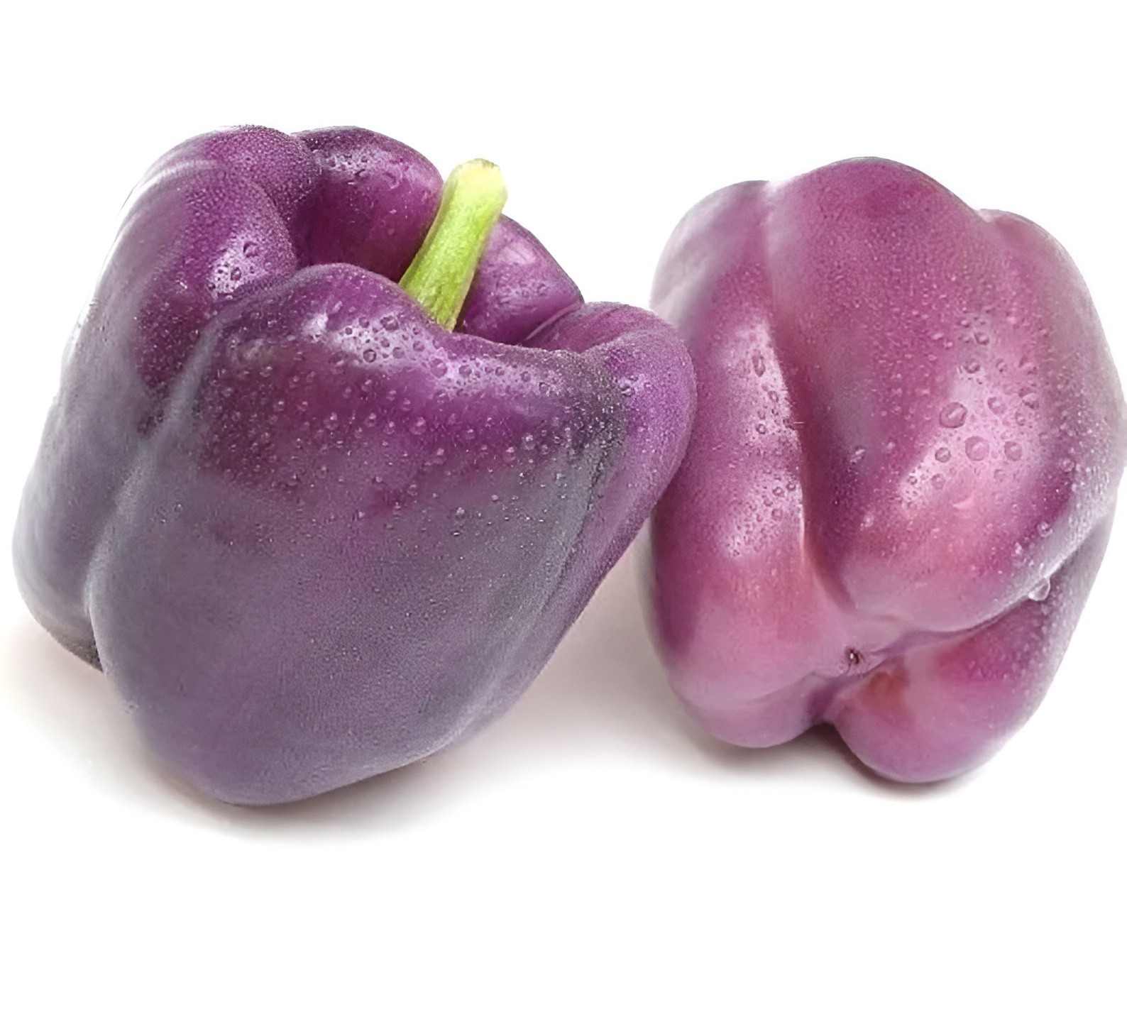 75 Heirloom Lilac Bell Pepper Seeds – Large Purple to Lilac Sweet Bell Pepper