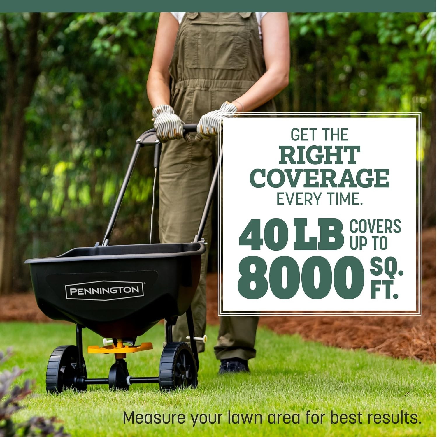 Fast Growing Grass Seed for Lawns – Heat and Rain Resistant