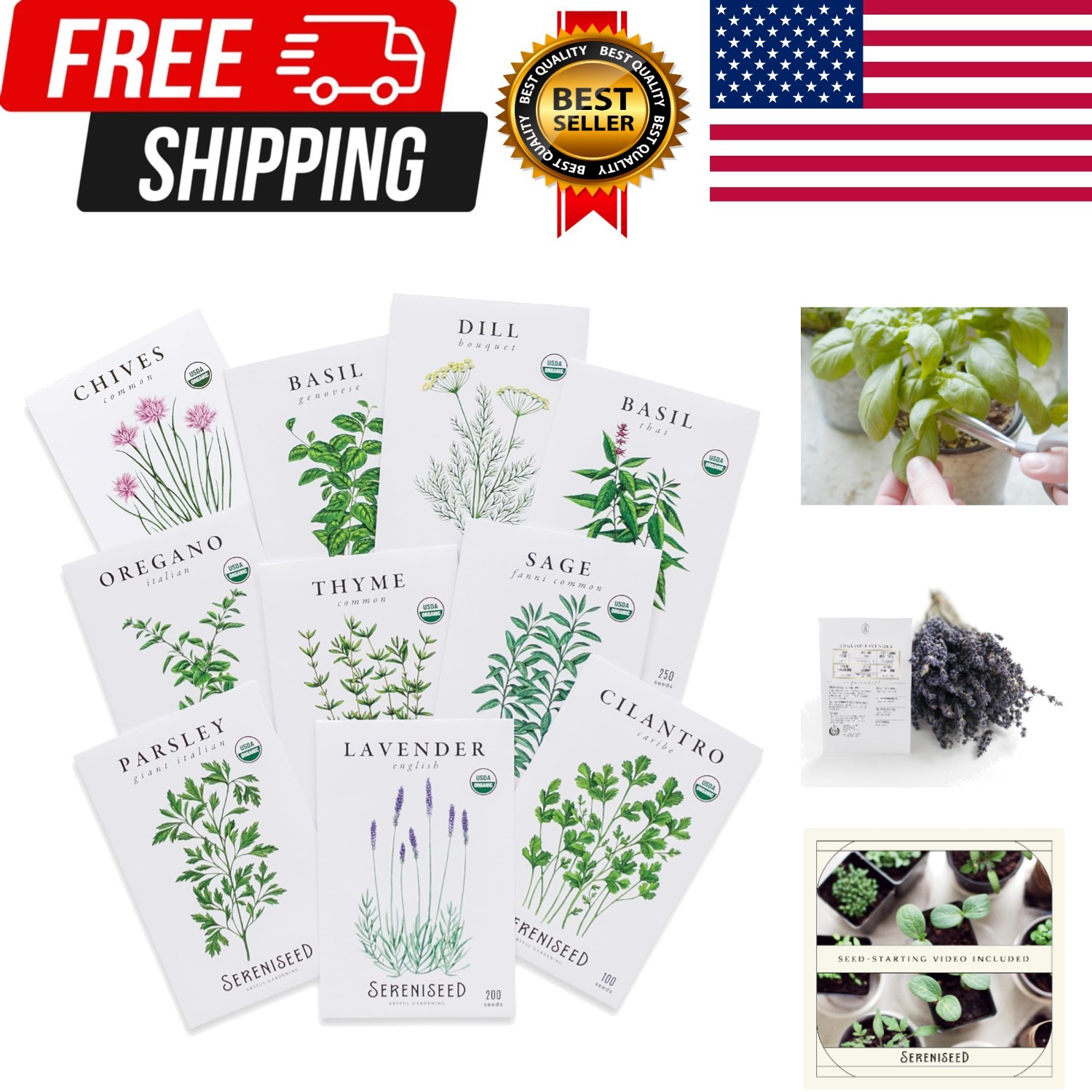 Certified Organic Herb Seeds 10-Pack – Non GMO, Heirloom – Seed Starting Vide…