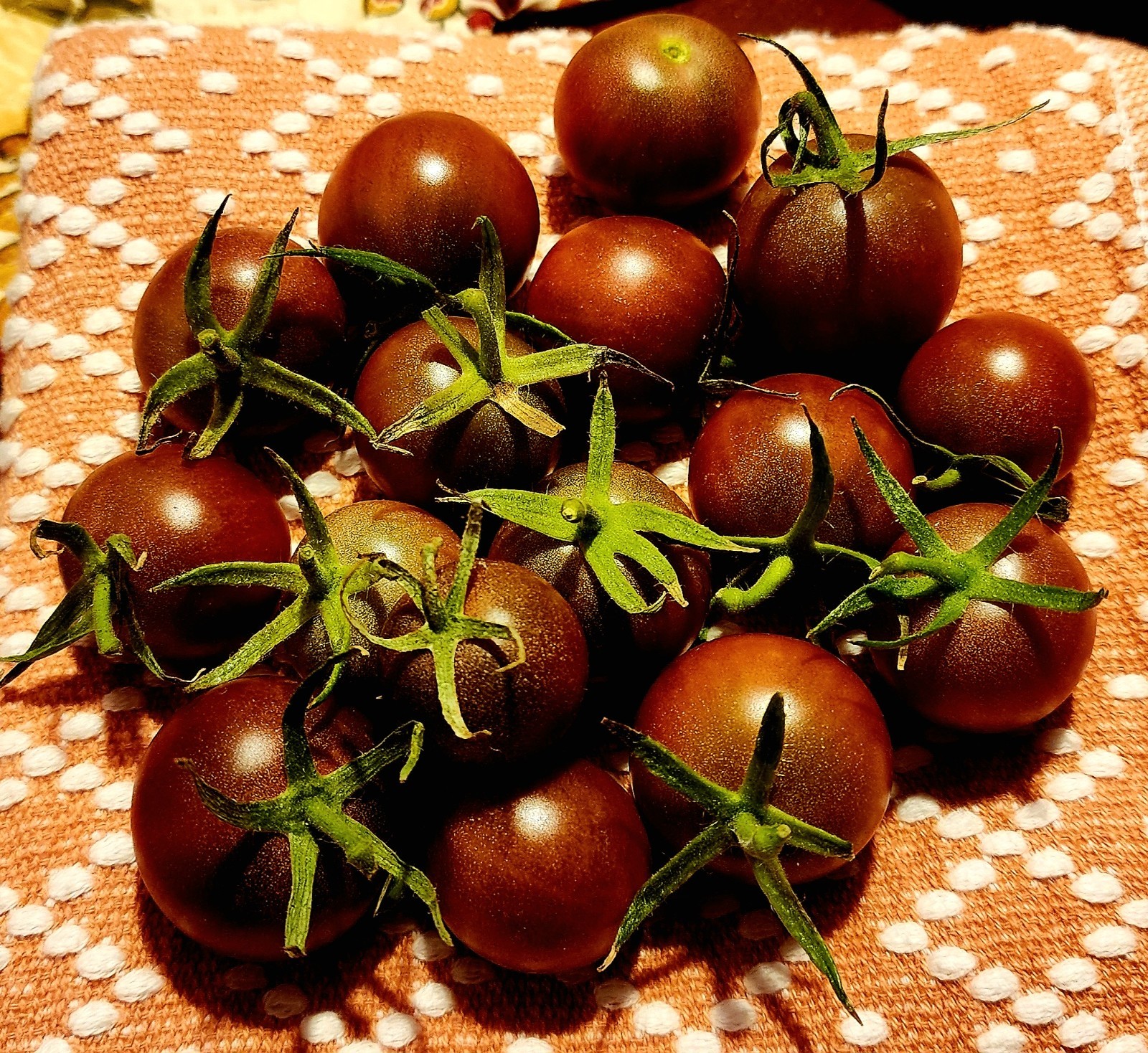 Black Cherry Tomato Seeds – Solanum lycopersicum – High Yield – Indeterminate