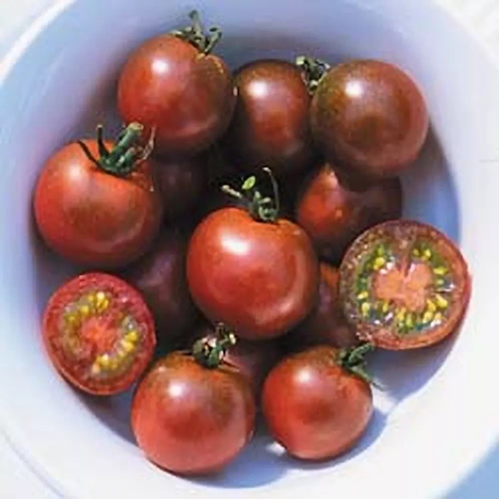 240+ Brown Berry Tomato Seeds ———- Heirloom —————- RARE
