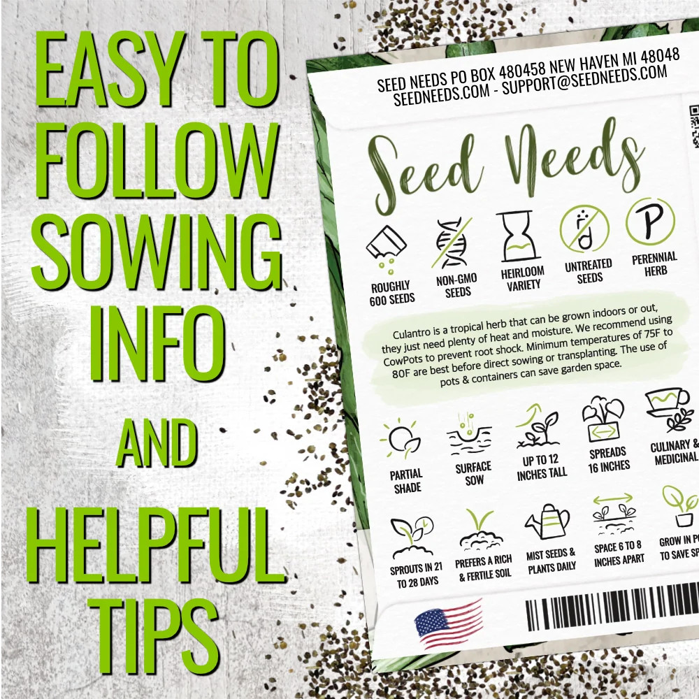 Culantro Herb Seeds For Planting (Eryngium foetidum)