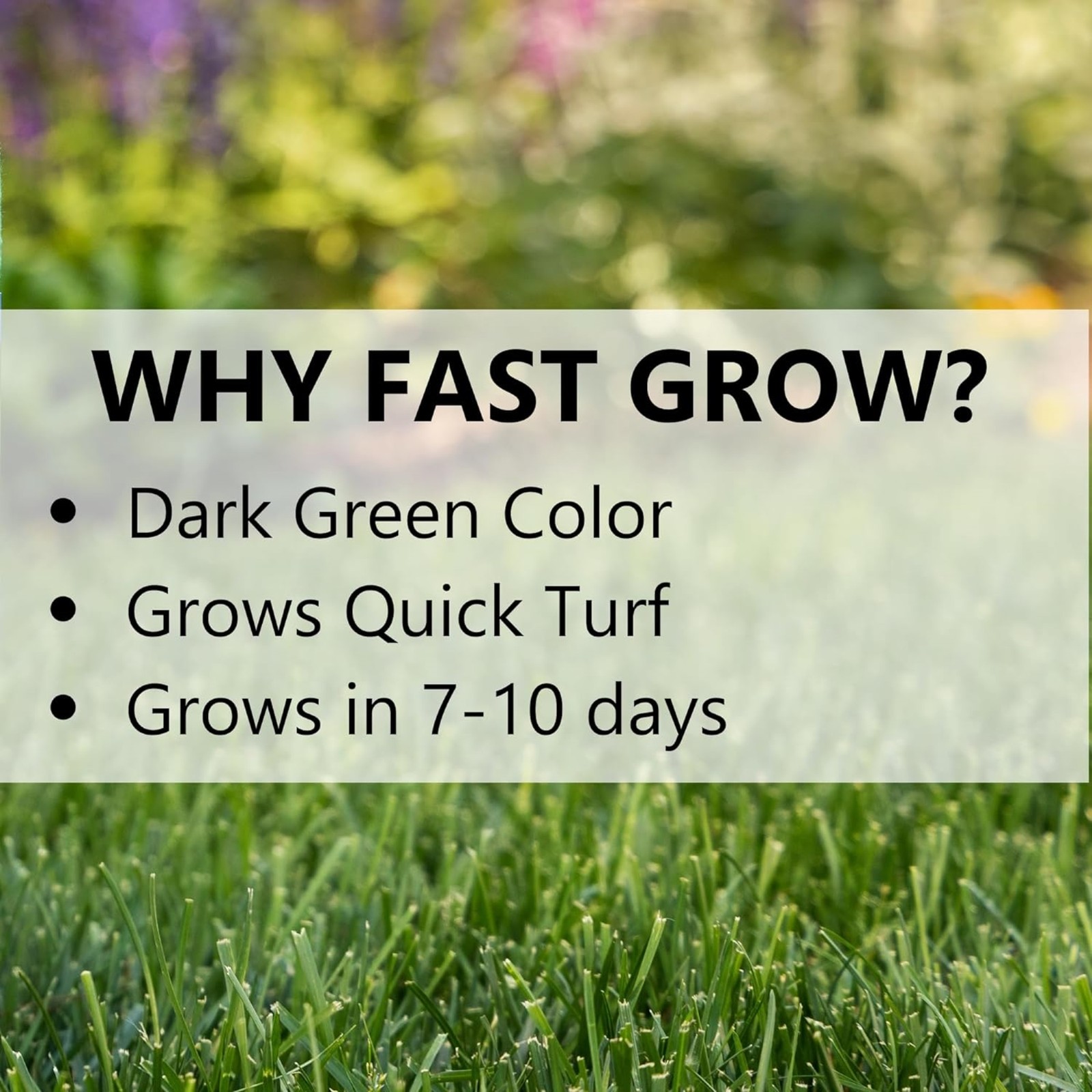Jonathan Green (#10820) Fast Grow Grass Seed Mixture, 3lb bag, 4 Pack
