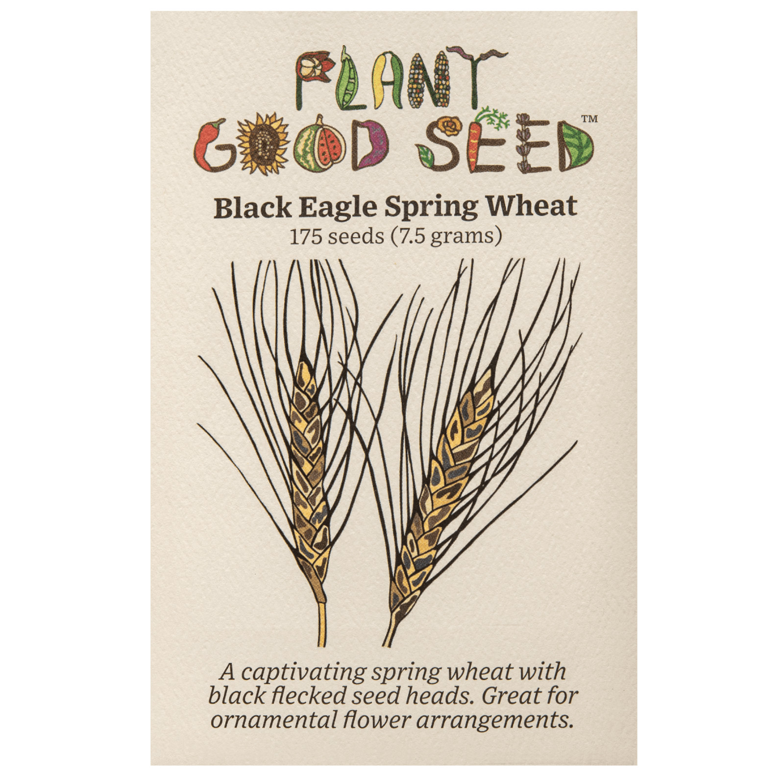 Black Eagle Spring Wheat Seeds: Edible Ornamental Grain Flower Bouquets Heirloom
