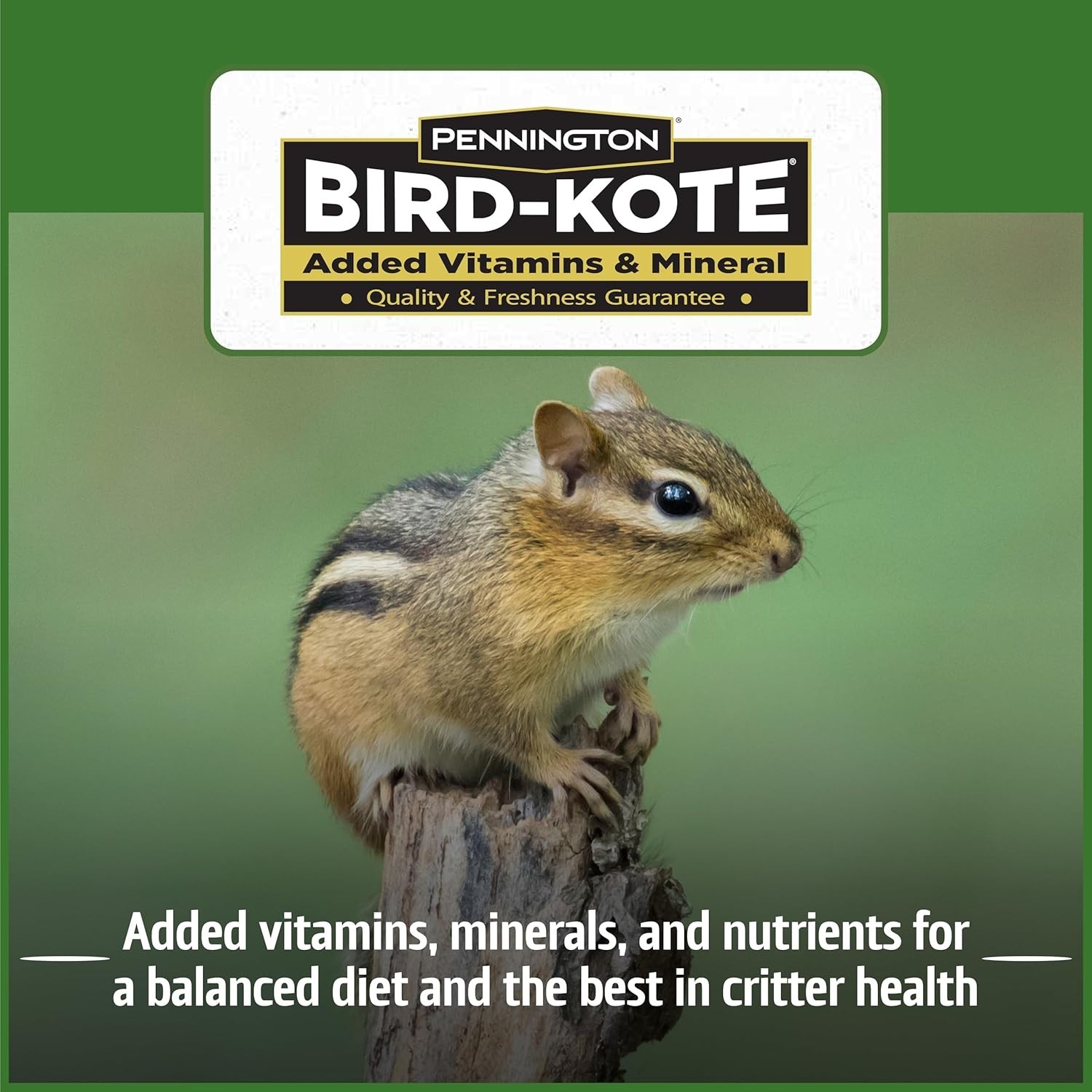 Pride Squirrel & Critter Blend, With Sunflower Seeds and Peanuts for Squirrel…