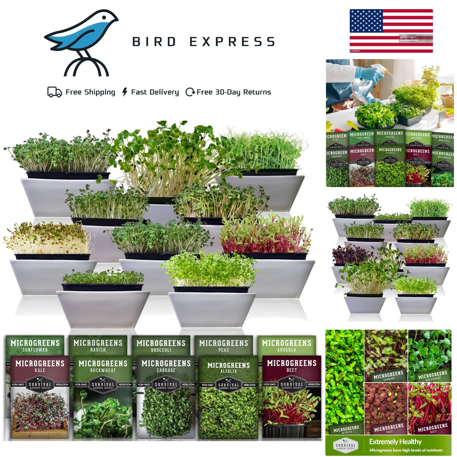 Microgreen Seeds Variety Pack 10 Heirloom Types Non-GMO for Indoor Gardening