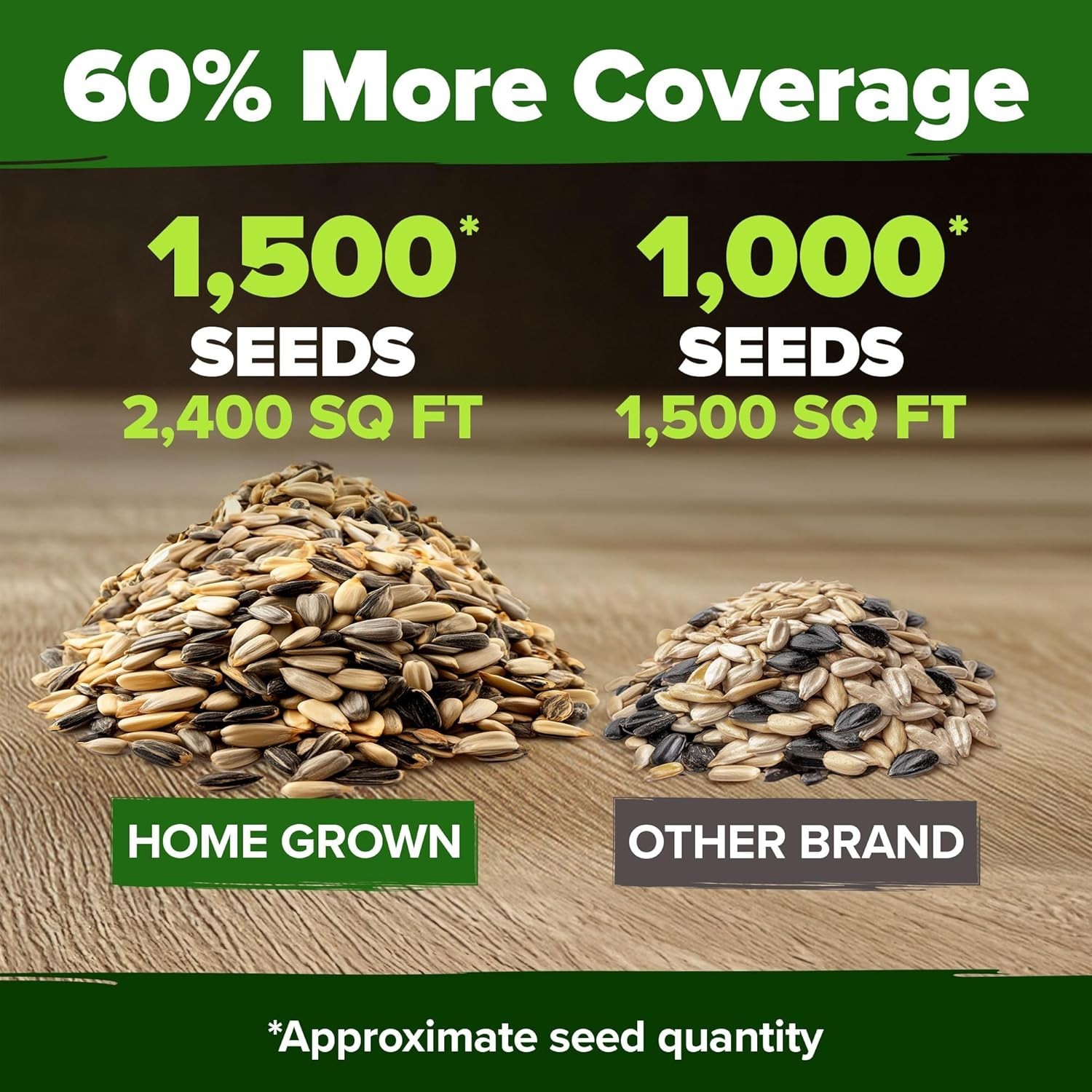 Multi Color Sunflower Seeds Mix Pack 1500 Plus Perfect for Eco Friendly Gardens
