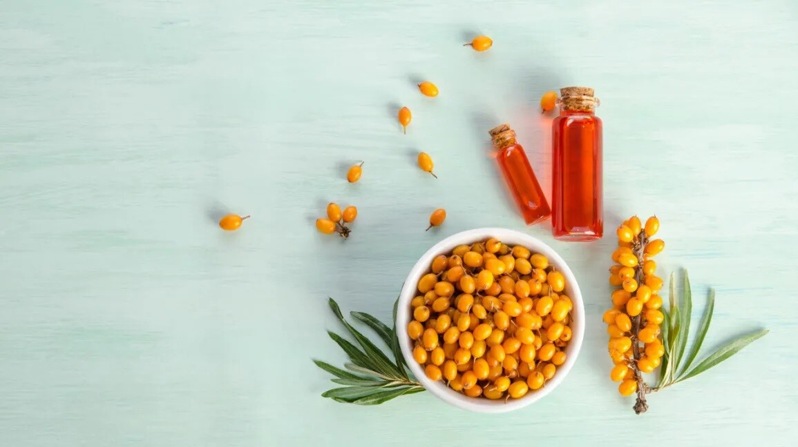 Sea Buckthorn 25-500 Seeds Seaberry Tree Hippophae rhamnoids Shrub 9X Vitamin C!
