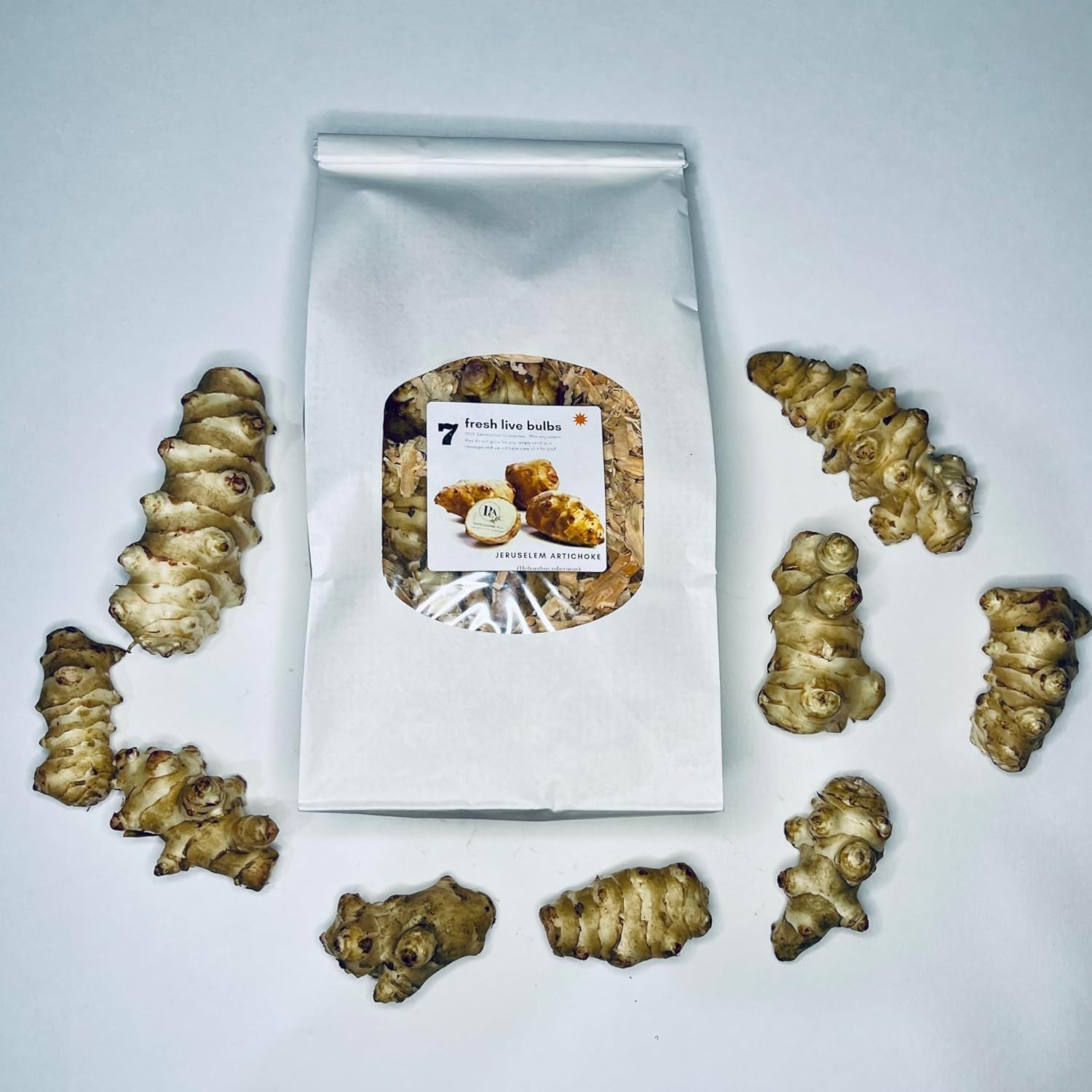 Jerusalem Artichokes set 5 Tuber Pack Raw Sunchokes food Brown