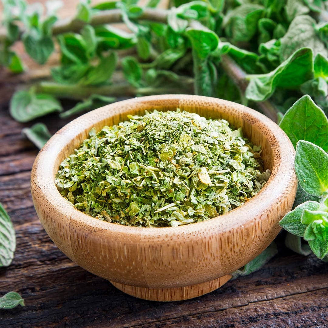 Common Oregano Seeds Heirloom Non-GMO Free Shipping