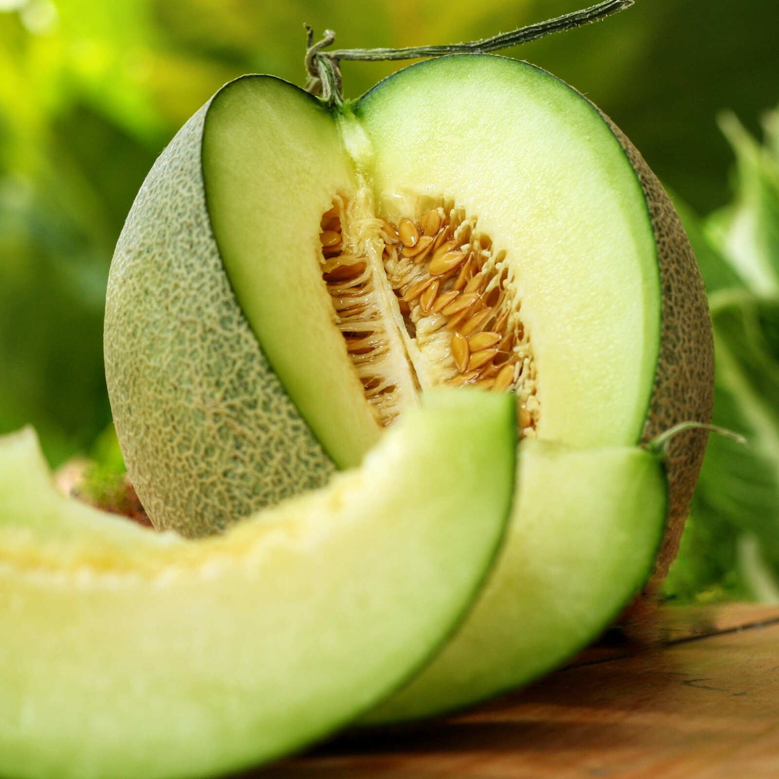Rocky Ford Green Cantaloupe Seeds | Netted Honeydew Flesh Melon Fruit Seed 2024