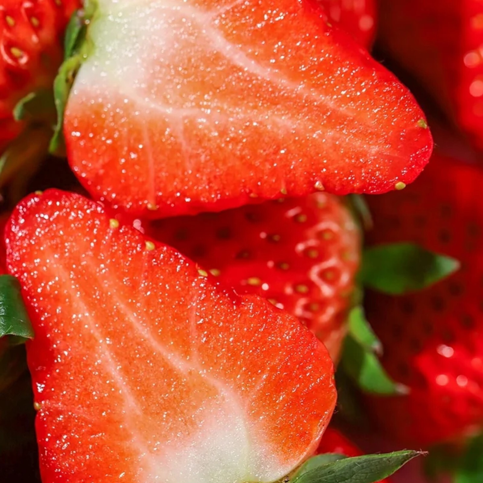 200 pcs Cream Strawberry Seeds – Hardy Perennial Herb, Fall & Spring Planting