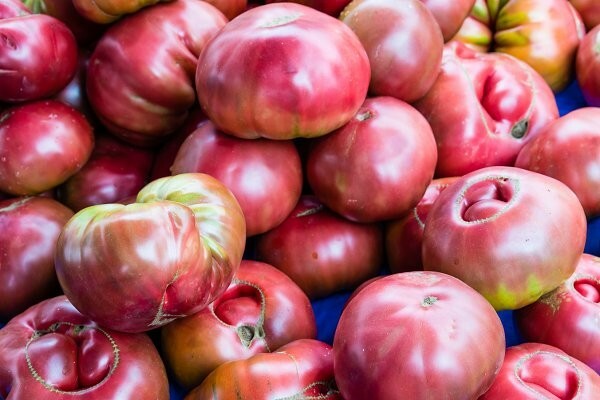 25 PURPLE TOMATO Seeds ANTIOXIDANT * HEIRLOOM Free shipping