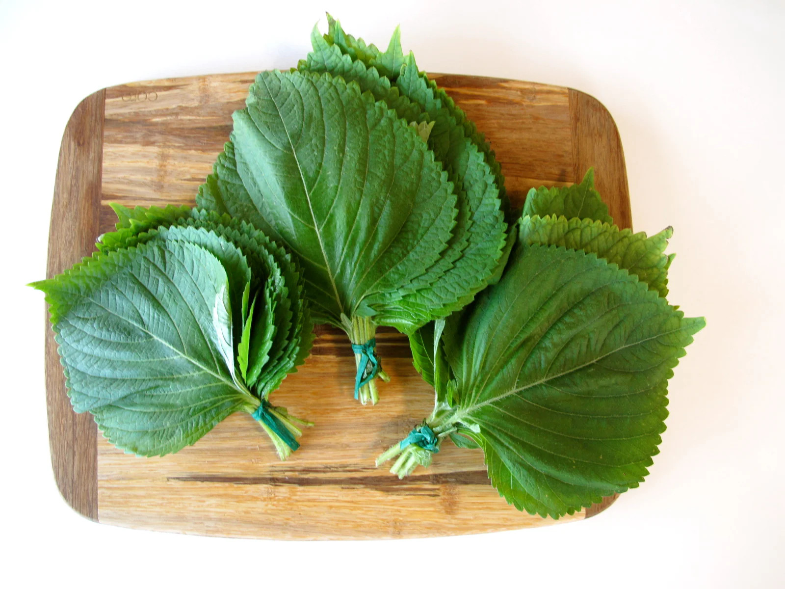 Korean Perilla Seeds |깻잎KKaennip Gaennip Sesame Shiso Mint Basil Asian Seed 2024