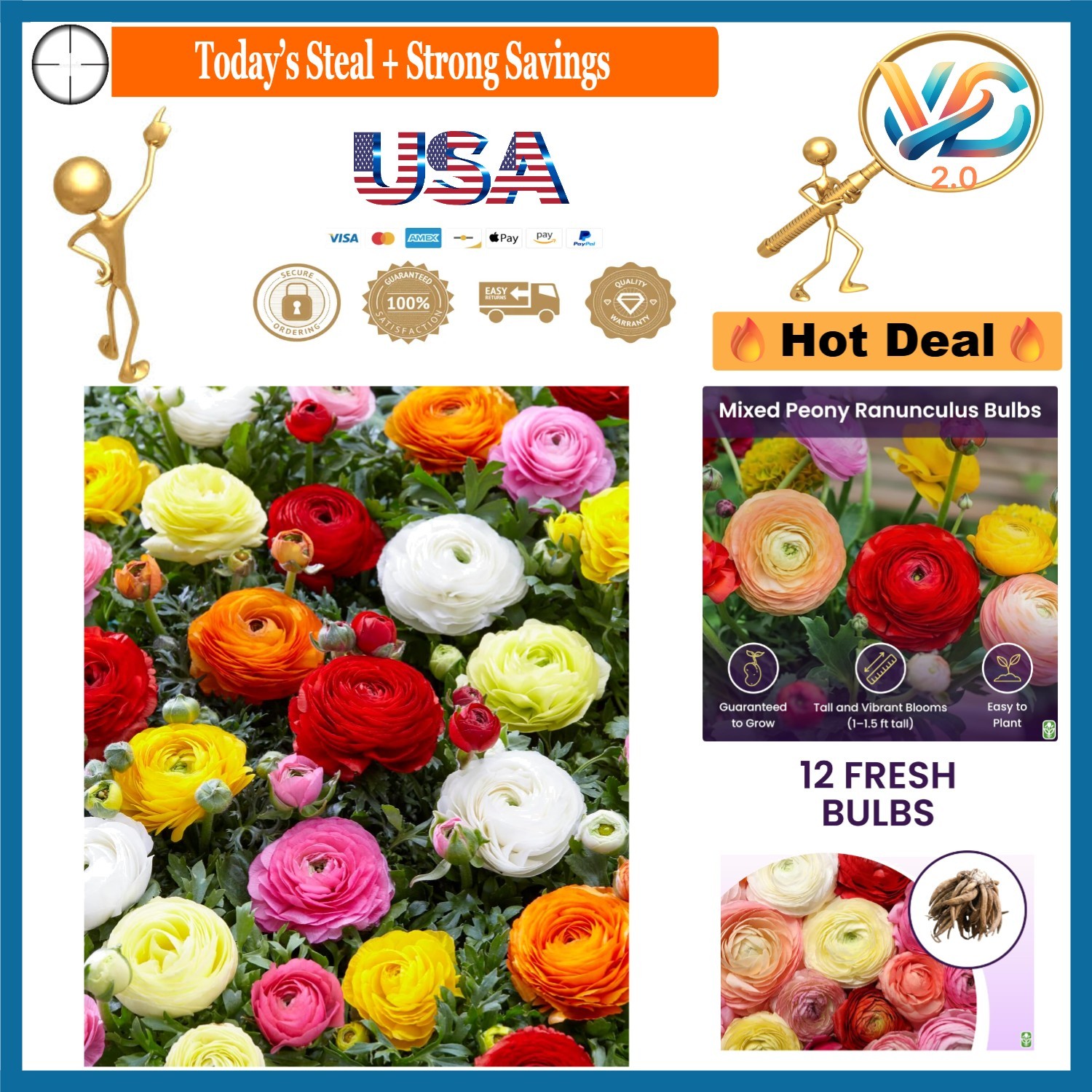 Mixed Peony Ranunculus Bulbs 12 Large Corms Multi Color Spring Summer Garden