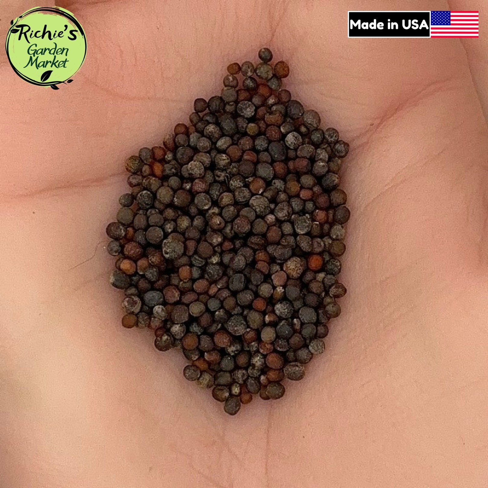 Broccoli Seeds, Waltham 29 Heirloom, Non-GMO, Organic, High Yield, Free Shipping