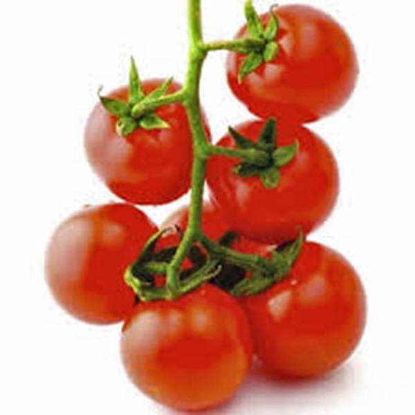 TOMATO SEEDS,SWEET LARGE CHERRY TOMATO, HEIRLOOM, 500+ , NON GMO,