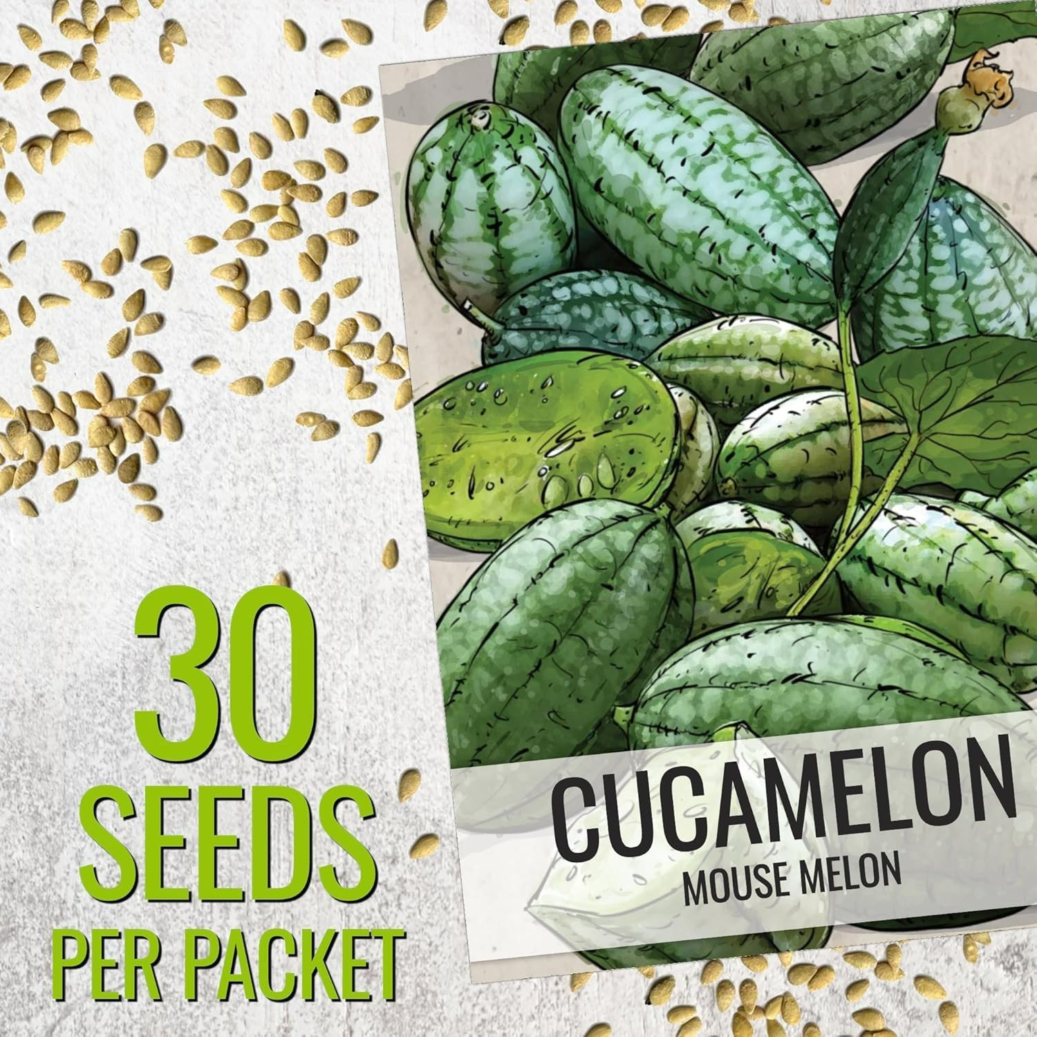Cucamelon Seeds for Planting Mexican Sour Gherkin Miniature Mouse Melons – No…