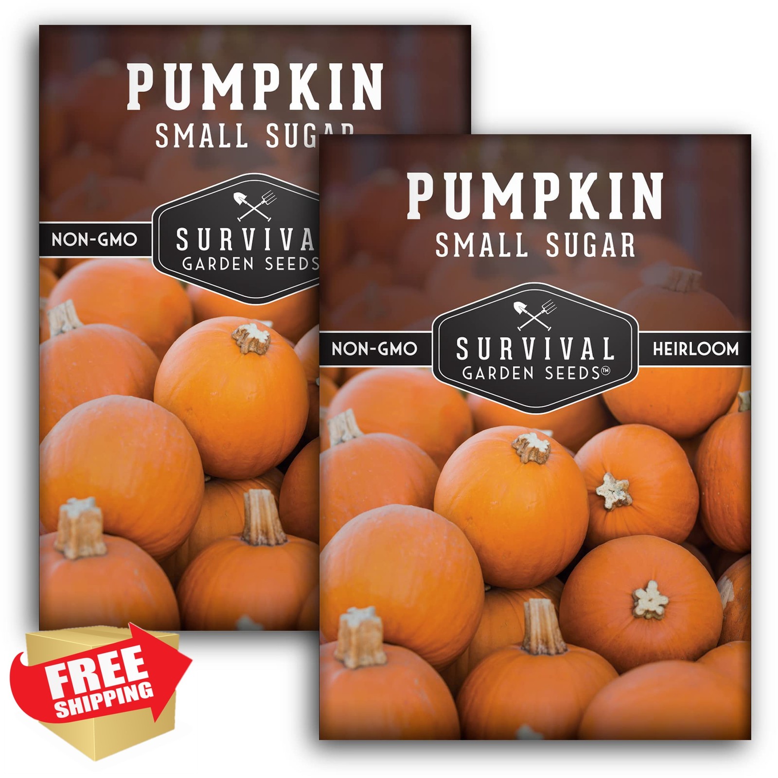 Small Sugar Pumpkin Seeds for Planting – Heirloom Sugar Pie Pumpkins, Sweet B…