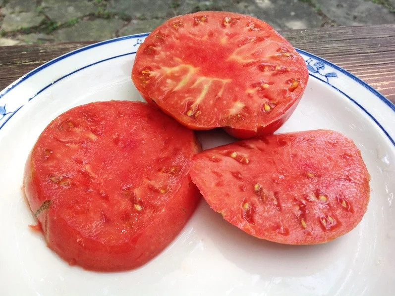 240+ German Johnson Tomato Seeds – Non GMO – Heirloom – Organic ——– LARGE