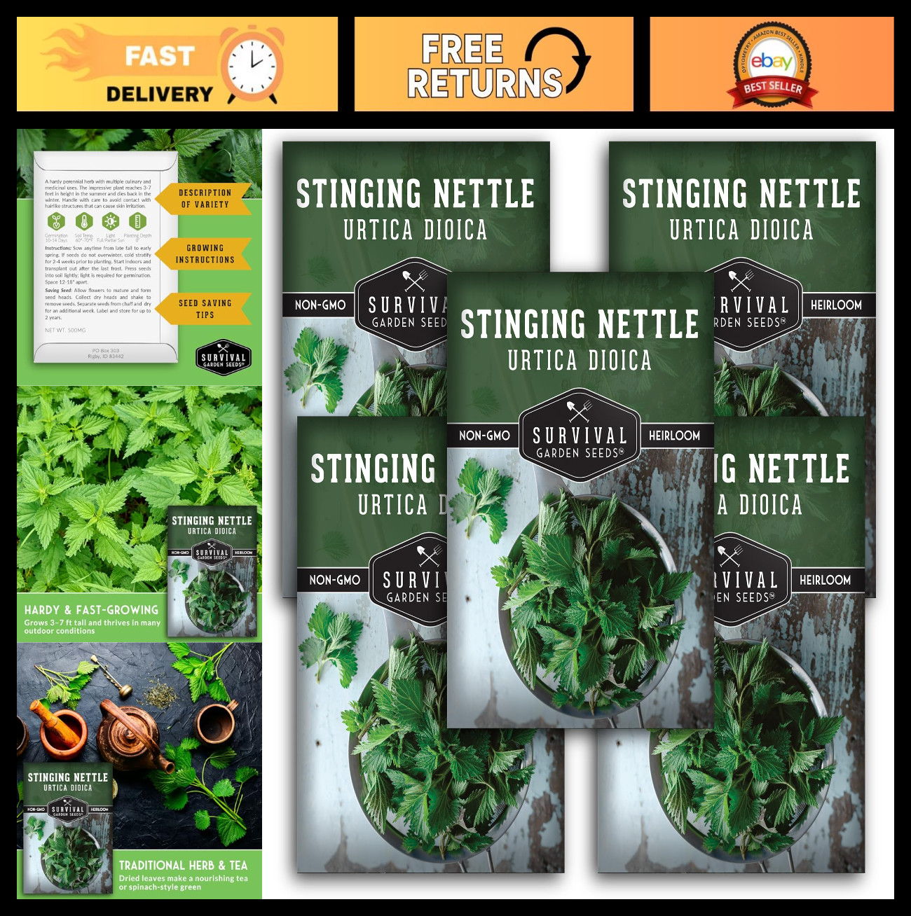 Stinging Nettle Seeds – Medicinal Herb & Edible Perennial for Tea & Cooking – No
