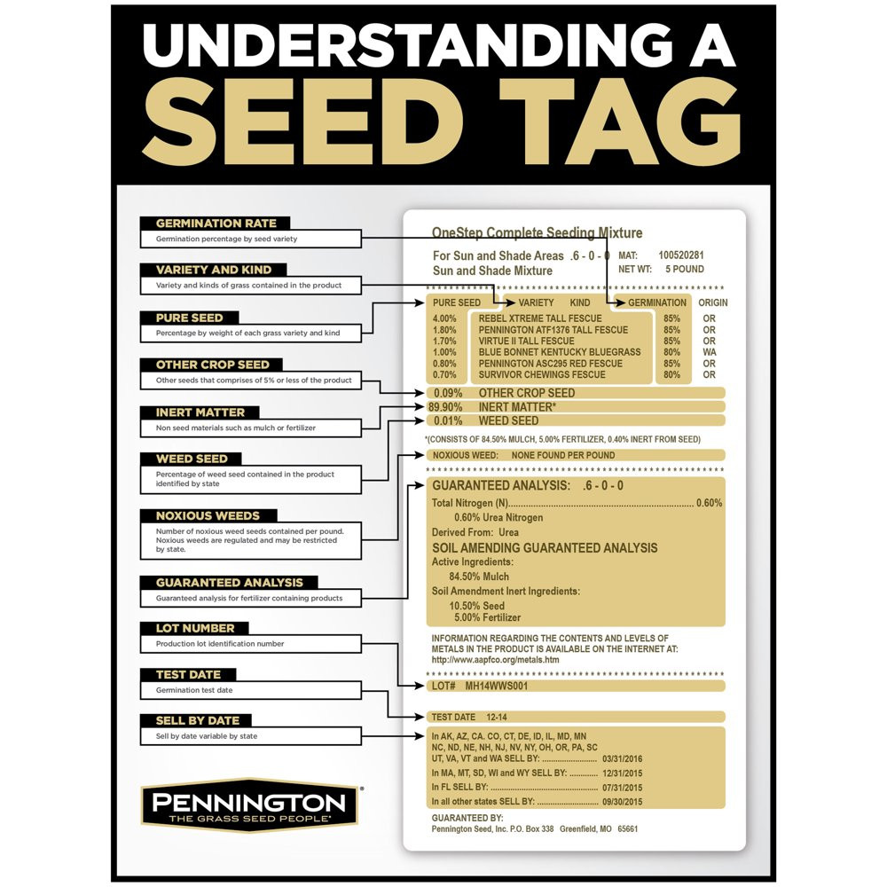 PENNINGTON BERMUDA GRASS SEED for Full Sun