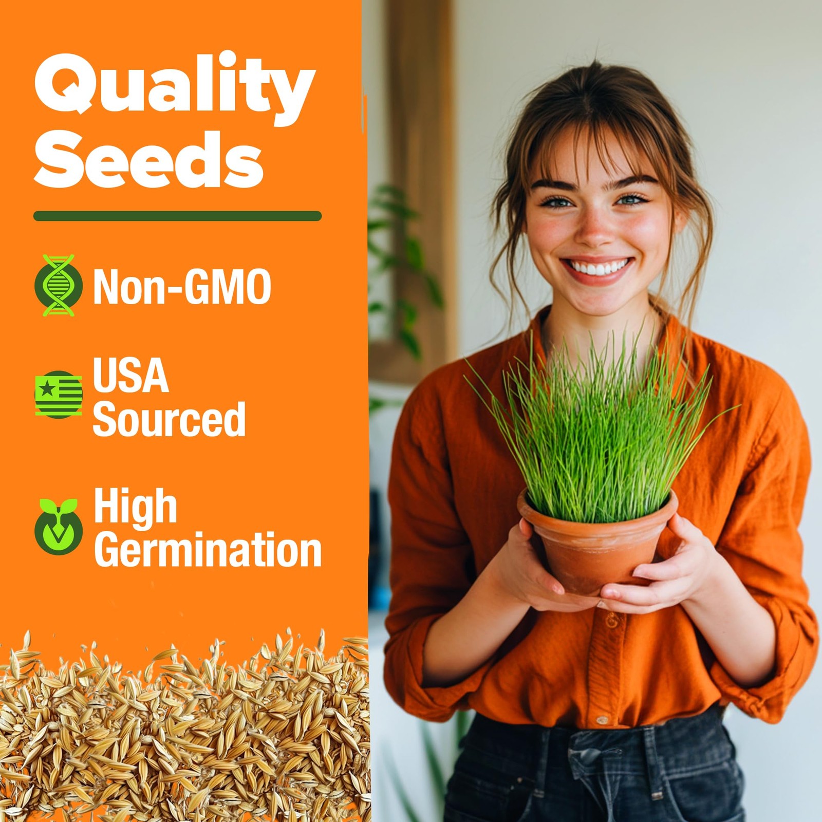 Non GMO 1 Pound Cat Grass 12,700+ Seeds for Cat & Kittens Oat & Barley Mix 10…