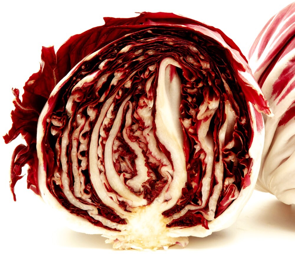Radicchio Seeds | Rouge de Verona | Heirloom | Fresh Garden Seeds