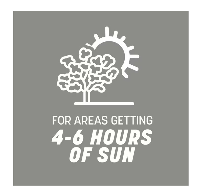 Pennington Contractors Central Grass Seed Mix, for Sun to Partial Shade, 7 lb.